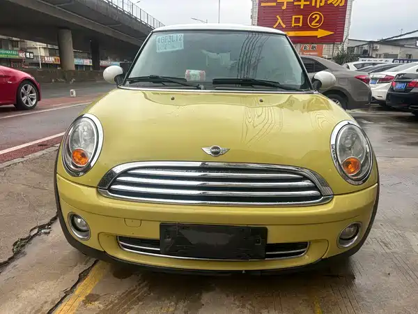 MINI 2010