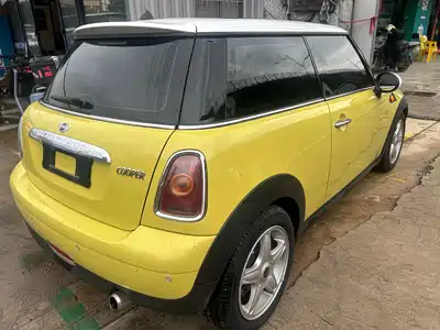 MINI MINI 2010