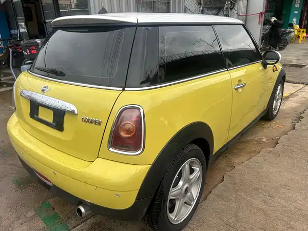 MINI 2010