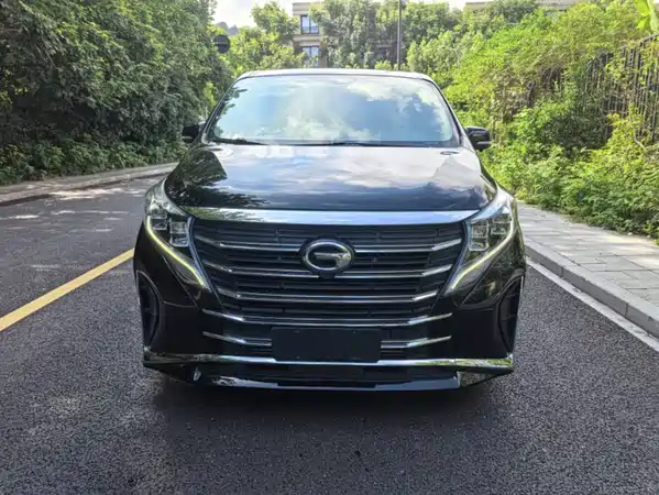 GAC Trumpchi M8 2022