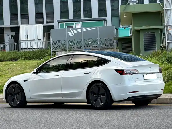 Tesla Model 3 2021