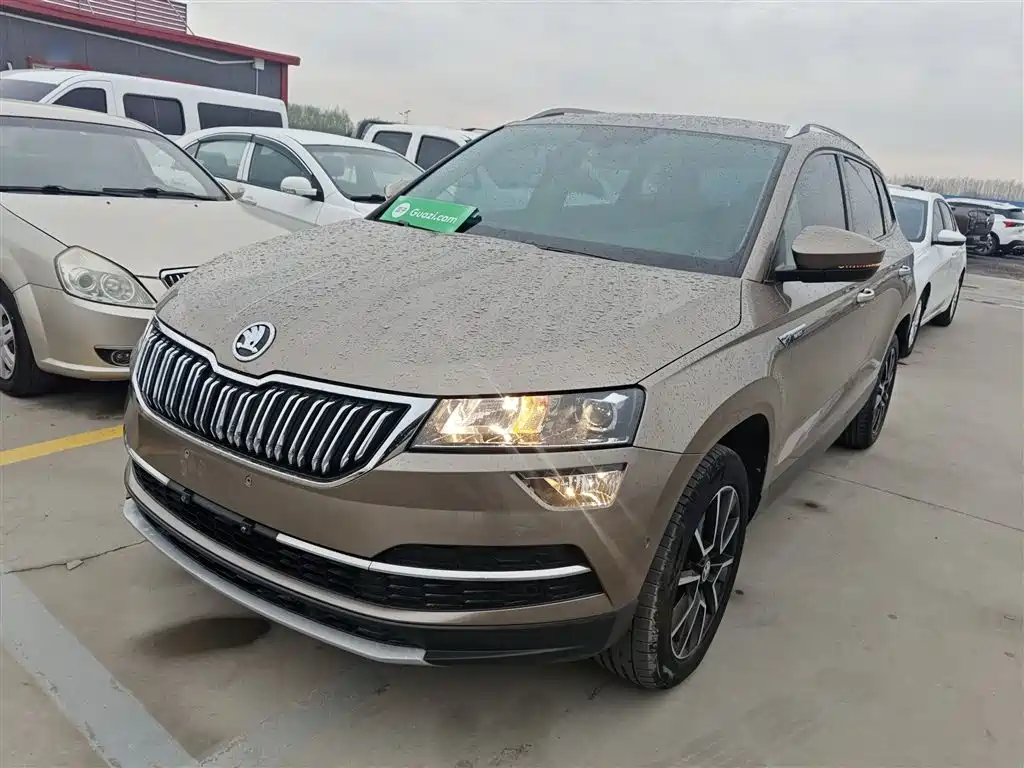Skoda Karoq 2019 — фото 1