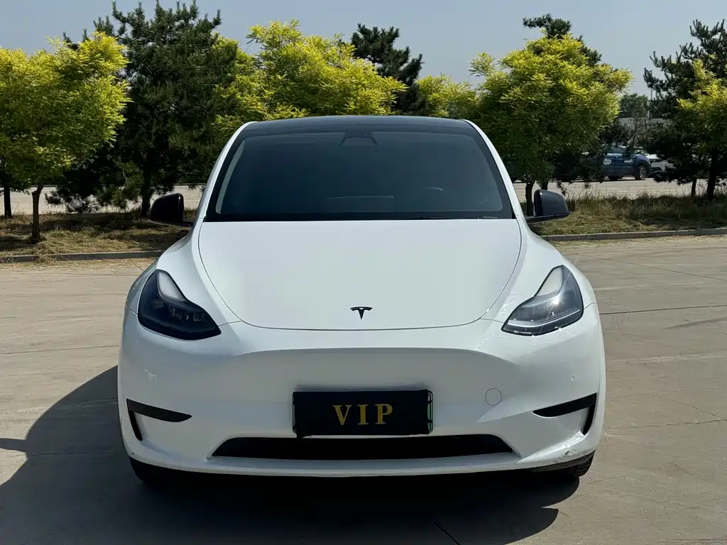 Tesla Model Y 2023 — фото 2
