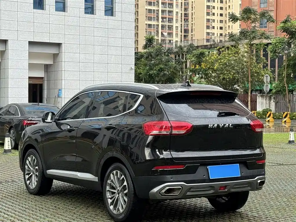 Haval H6 2020 — фото 6