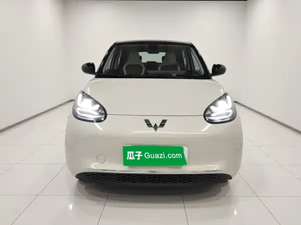 Wuling Bingo 2024