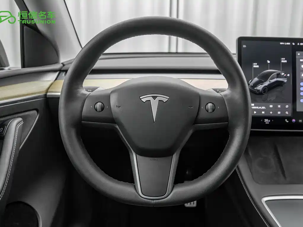 Tesla Model Y 2021 — фото 16