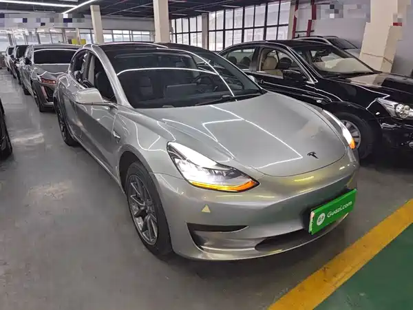 Tesla Model 3 2019
