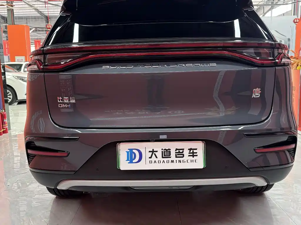 BYD Tang New Energy 2023 — фото 4