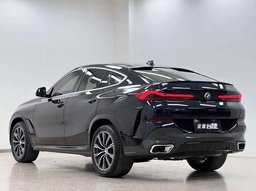 BMW X6 2021 — фото 5