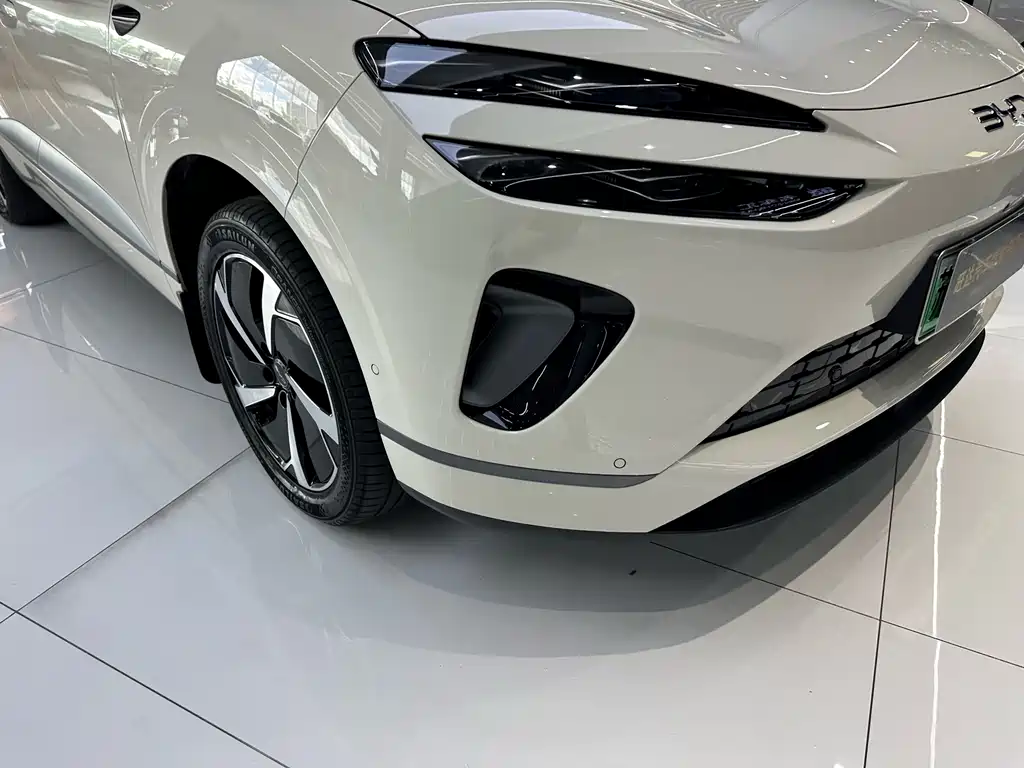 BYD Sealion 06 2025 — фото 4