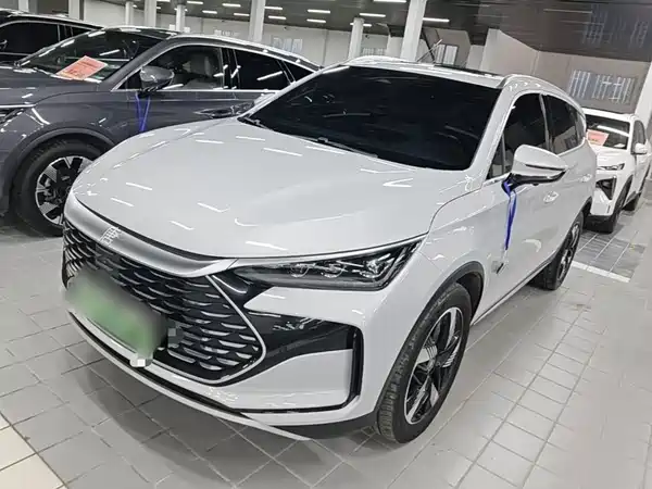 BYD Tang New Energy 2024