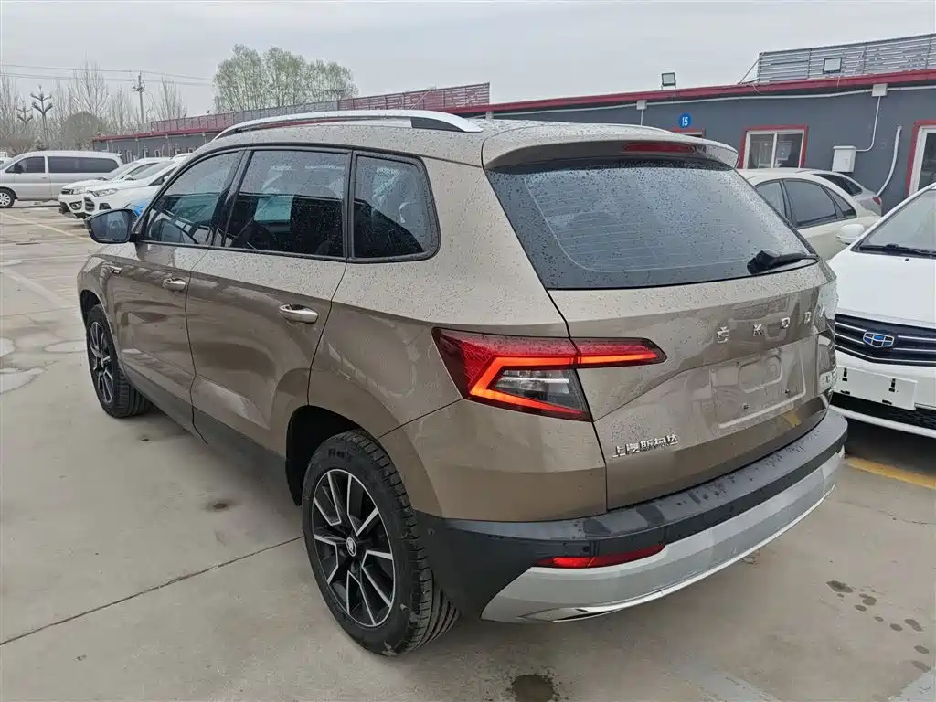 Skoda Karoq 2019 — фото 23