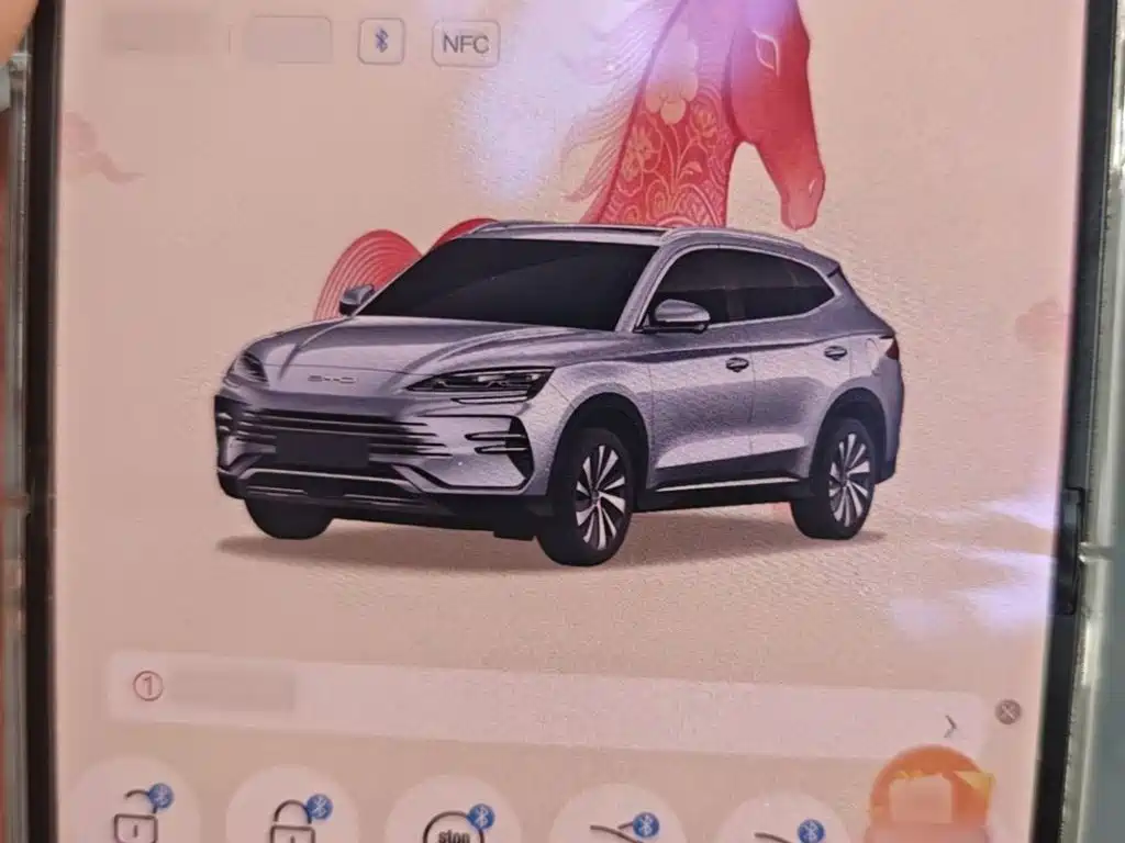 BYD Song PLUS New Energy 2024 — фото 12