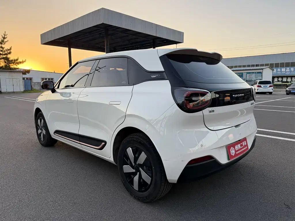 Dongfeng Nano 01 2025