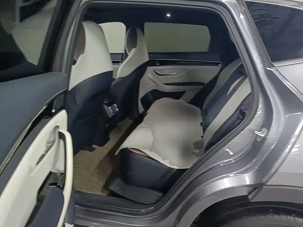BYD PLUS New Energy 2022 — фото 17