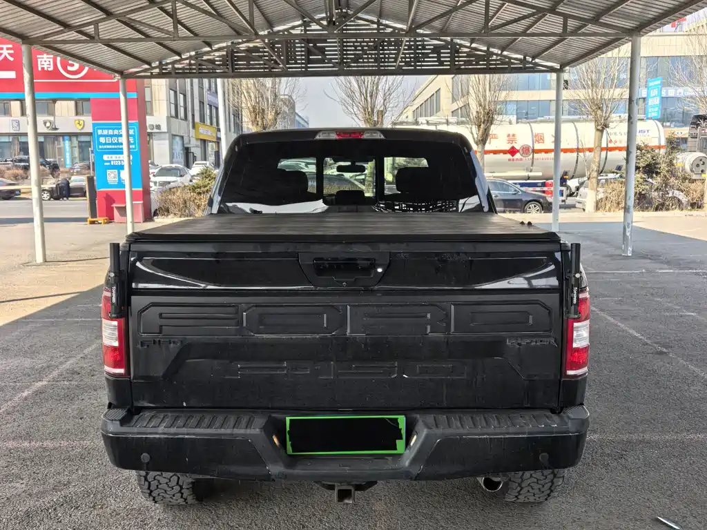 Ford F-150 Raptor 2019 — фото 8
