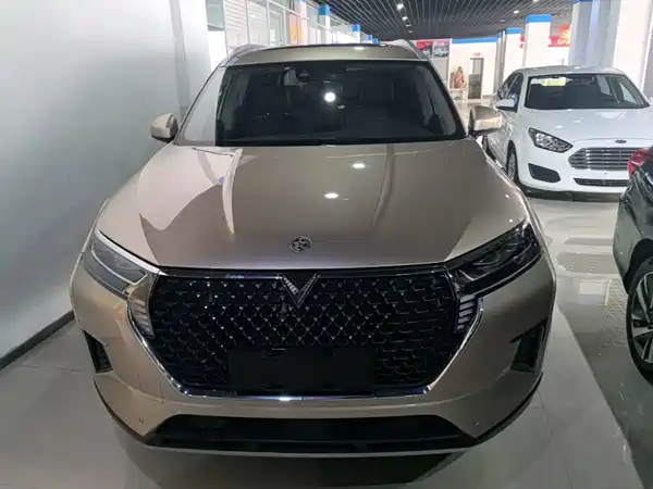 Venucia Star 2020