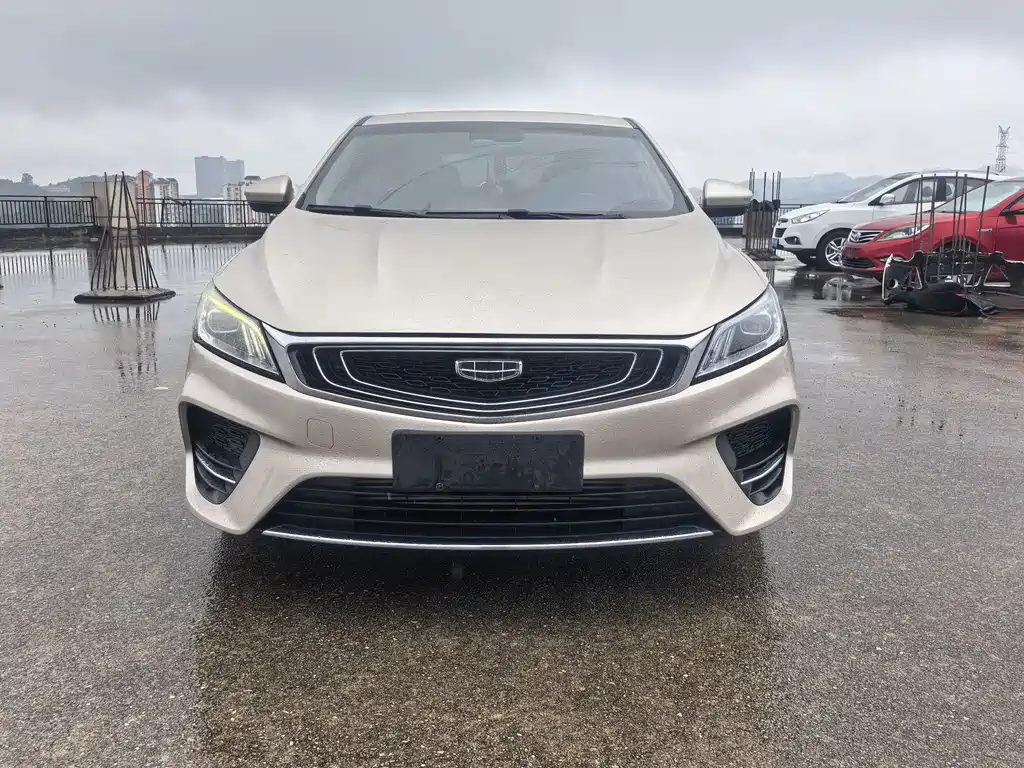 Geely Binrui 2019