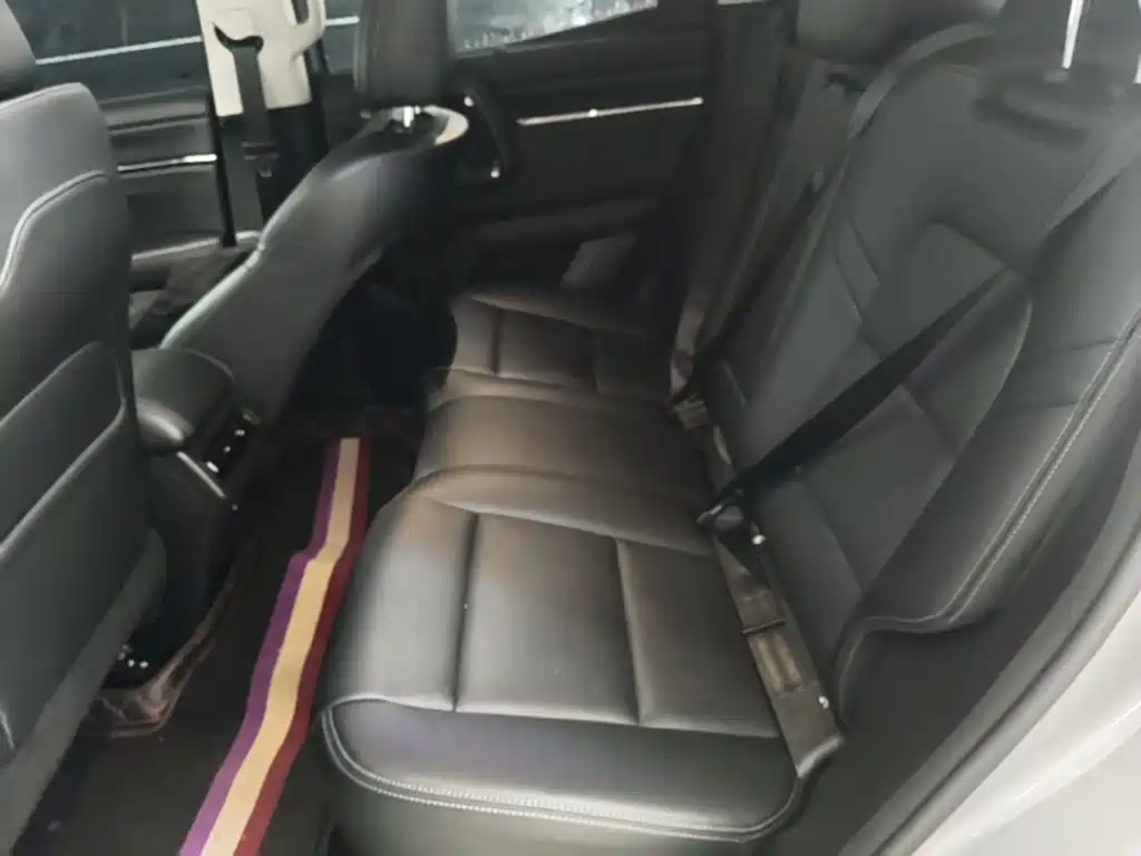 Haval Dargo PLUS EV 2023 — фото 24