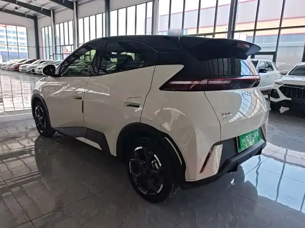 BYD Seagull 2024