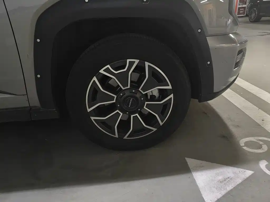 Haval Big Dog PLUS New Energy 2023 — фото 23