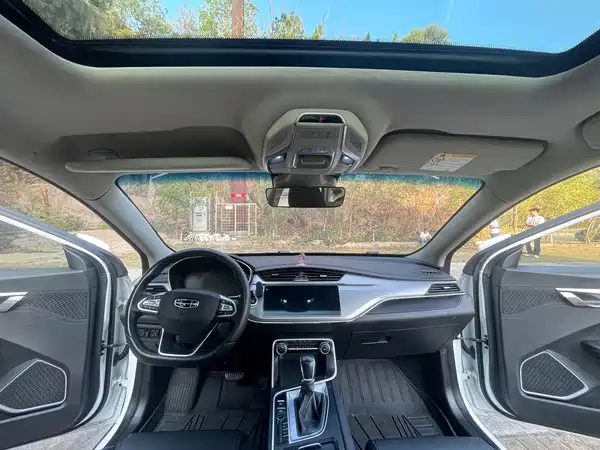Geely Binrui 2019