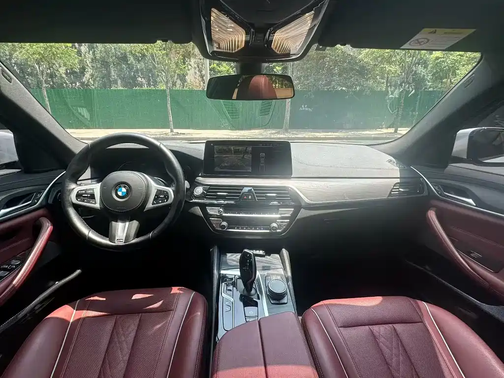 BMW 5 Series New Energy 2020