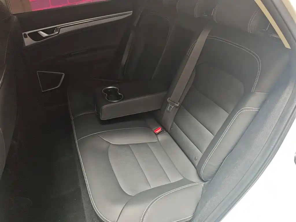 Geely Emgrand GS 2020 — фото 17
