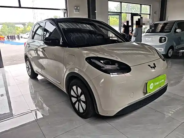 Wuling Bingo 2024