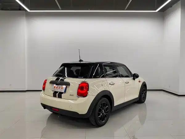 MINI 2019