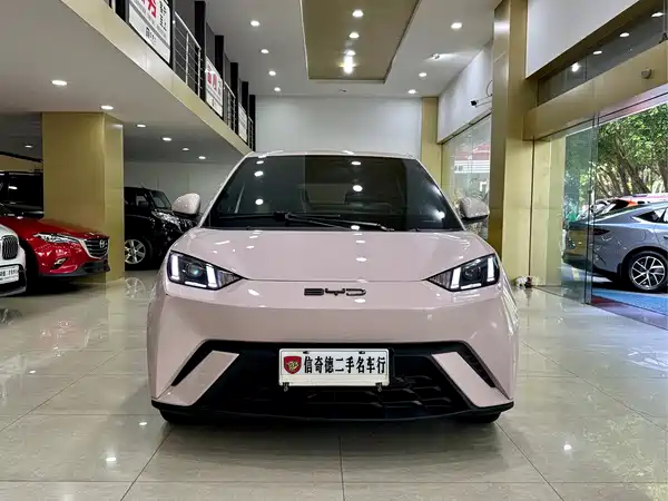 BYD Seagull 2024