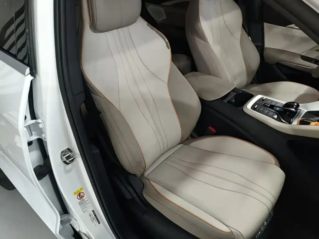 BYD Song Pro New Energy 2024 — фото 25