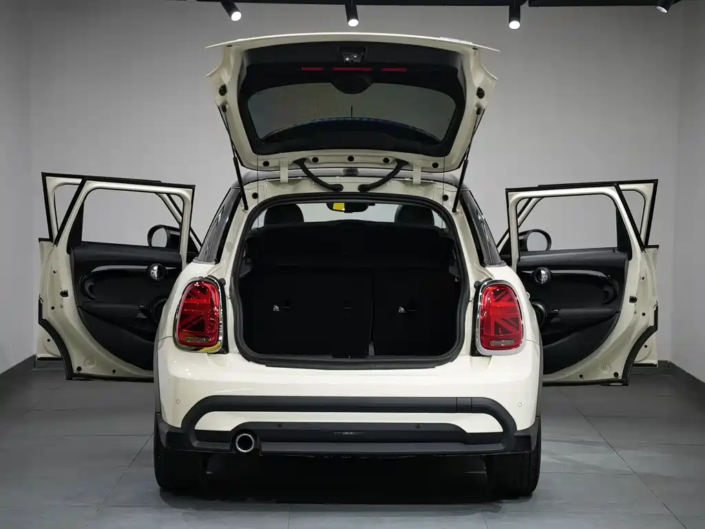 MINI MINI 2021