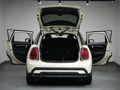 MINI MINI 2021