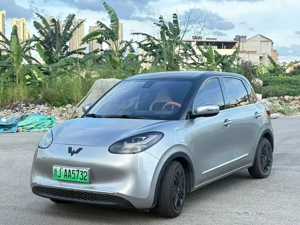 Wuling Bingo 2023