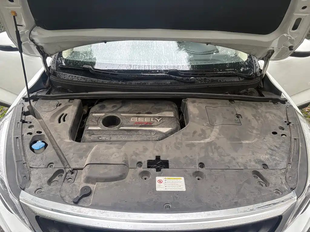 Geely Emgrand GS 2019 — фото 20