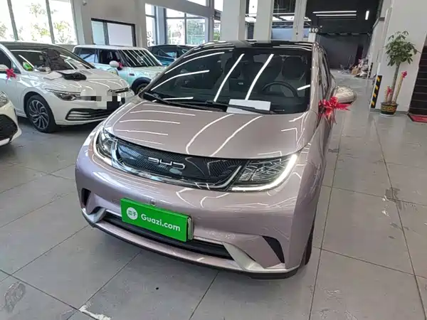 BYD Dolphin 2022