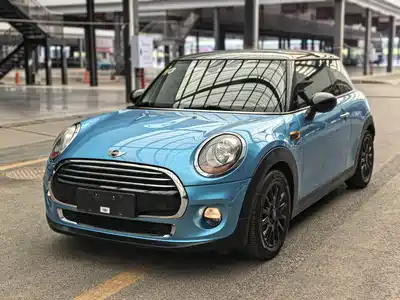 MINI MINI 2014
