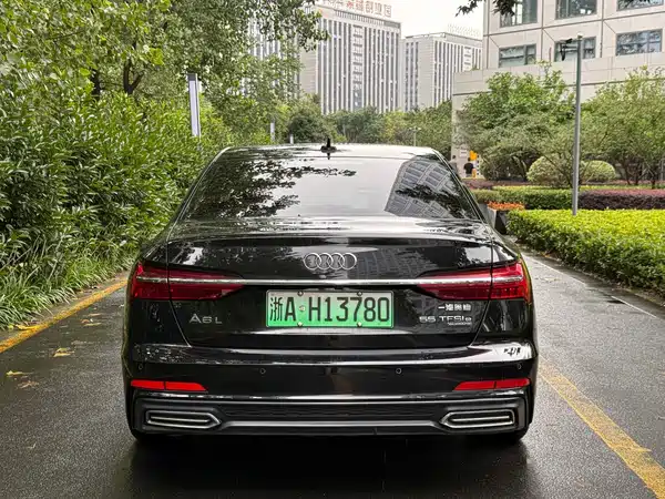 Audi A6L New Energy 2021