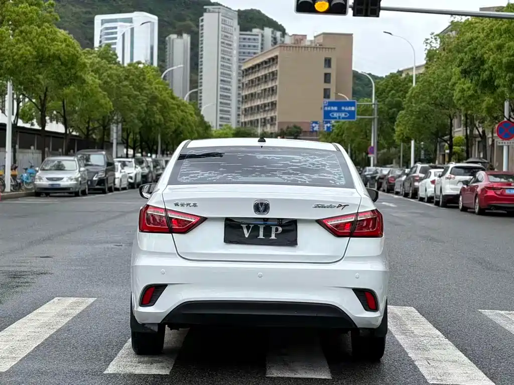 Changan Eado DT 2019 — фото 14
