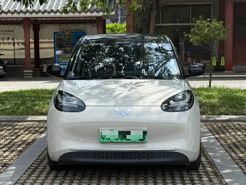 Wuling Bingo 2024