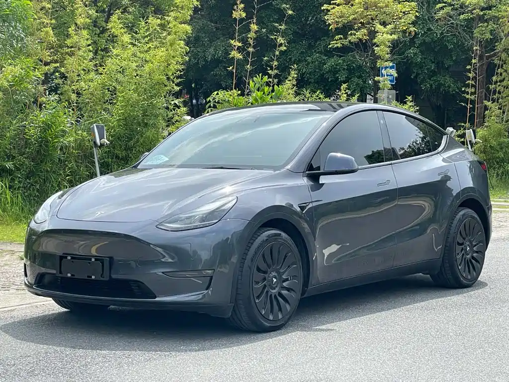 Tesla Model Y 2021 — фото 1