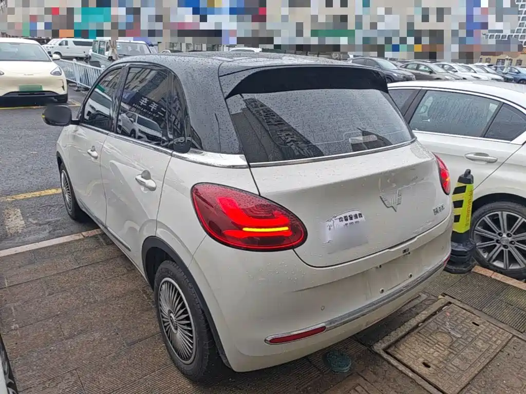 Wuling Bingo 2024