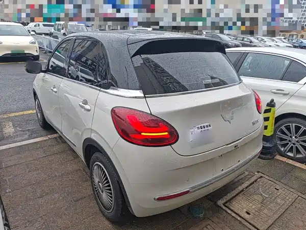 Wuling Bingo 2024