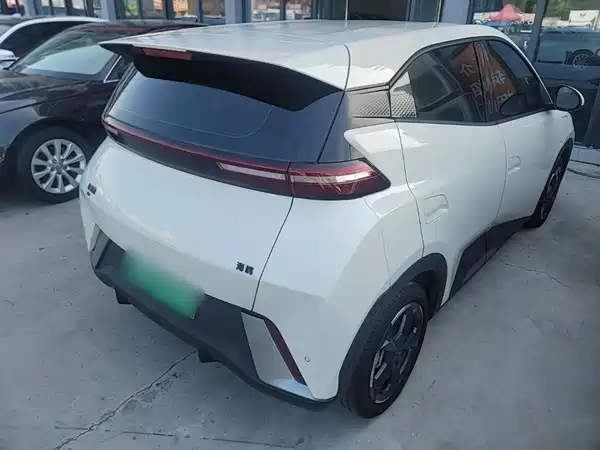 BYD Seagull 2024