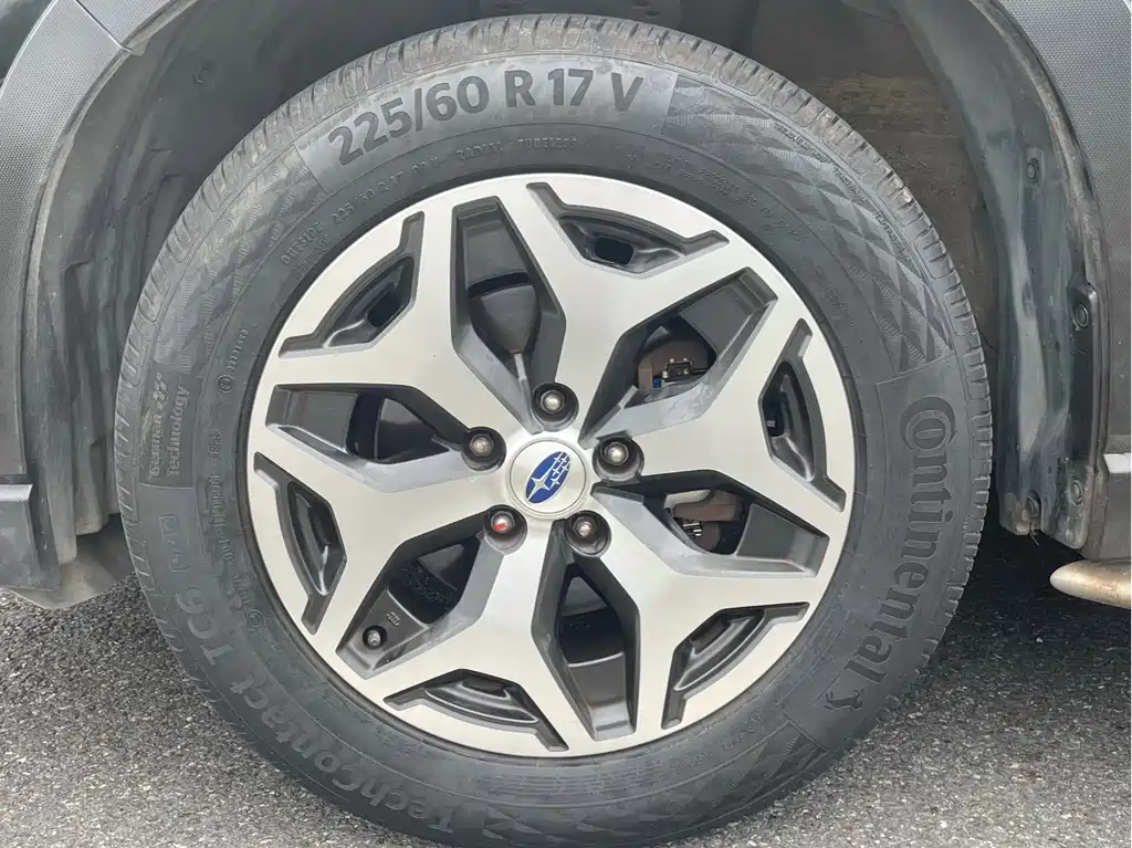 Subaru Forester 2019 — фото 11