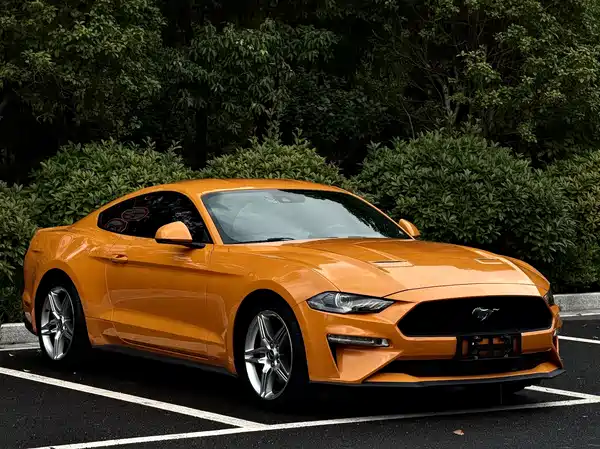 Ford Mustang 2019