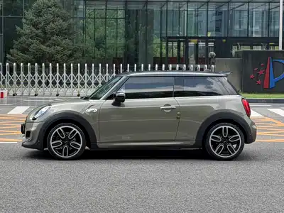 MINI MINI 2020