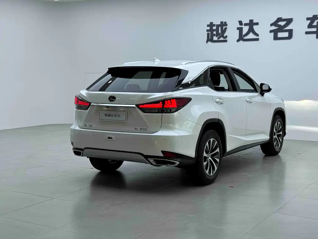 Lexus RX 2023 — фото 21