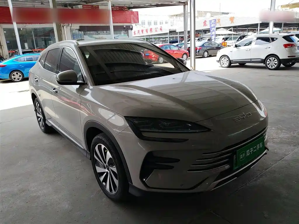 BYD PLUS New Energy 2024 — фото 23